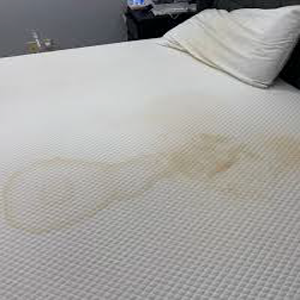 airbnb-cleaners-chicago-post-checkout-clean